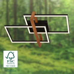 LED-loftlampe 3775015 2 lyskilder med træ^Briloner Discount