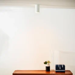 Lucide LED-loftlampe Delto dæmpbar til varm, rund, hvid