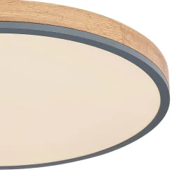 Globo Gang|Loftlamper><noscript><img width=