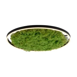 LED-loftlampe Green Ritus, mos dæmpbar Ø58,5cm^JUST LIGHT. GmbH Sale