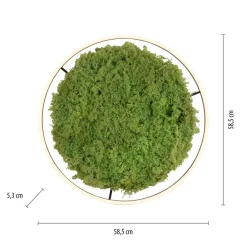 LED-loftlampe Green Ritus, mos dæmpbar Ø58,5cm^JUST LIGHT. GmbH Sale