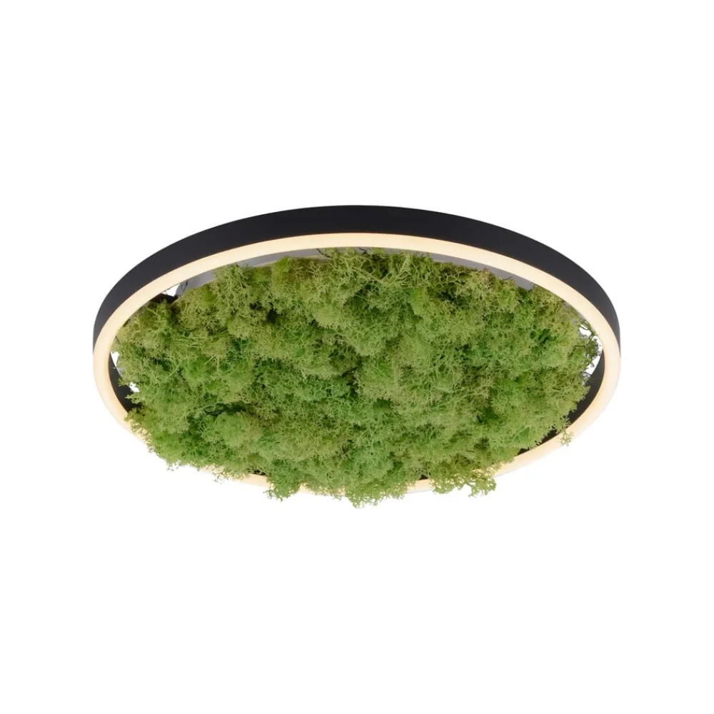 LED-loftlampe Grøn Ritus, mos dæmpbar Ø39,3cm^JUST LIGHT. GmbH Online