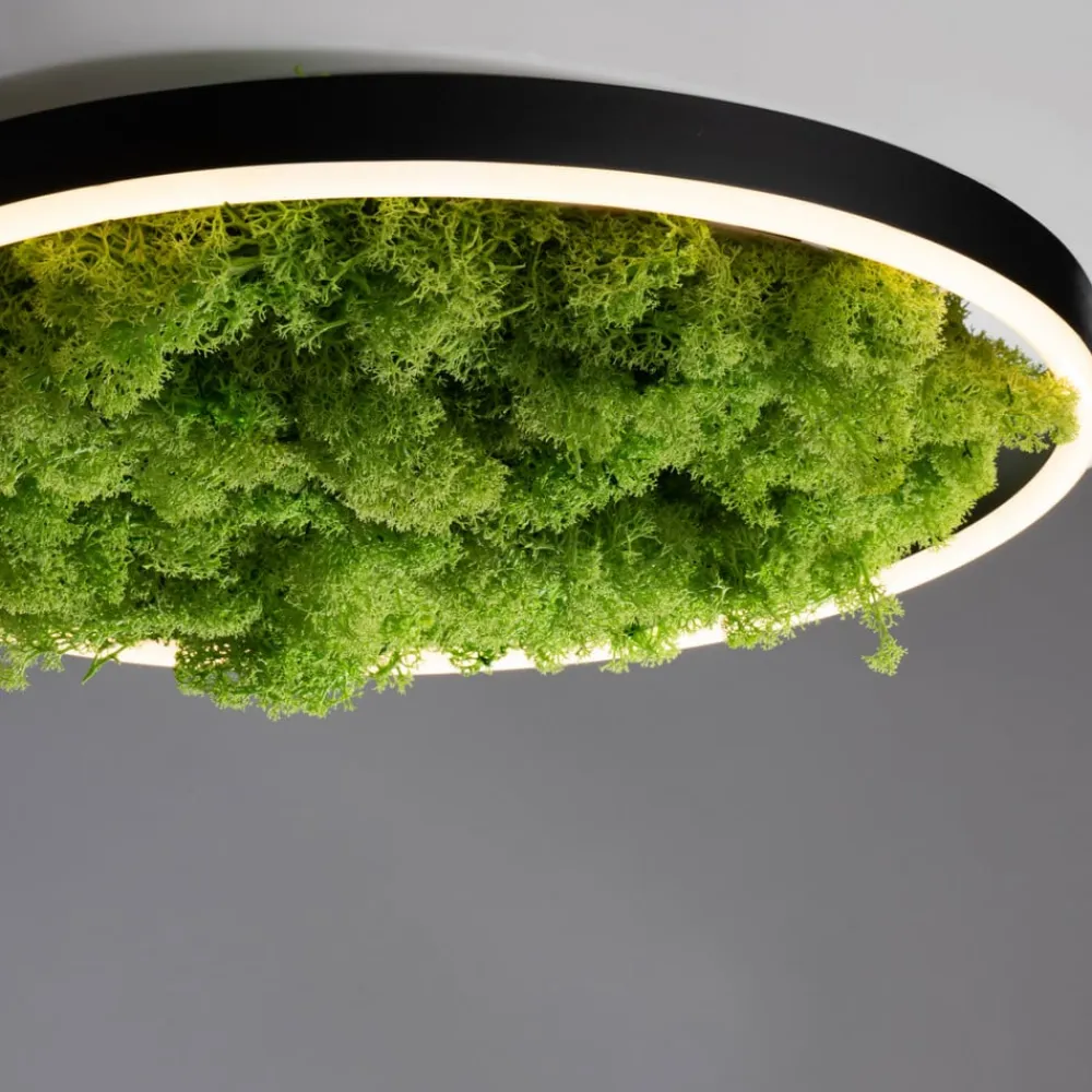 LED-loftlampe Grøn Ritus, mos dæmpbar Ø39,3cm^JUST LIGHT. GmbH Online