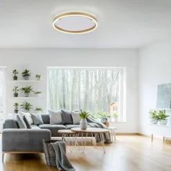 LED-loftlampe Ritus, Ø 39,3 cm, mat messing^JUST LIGHT. GmbH Sale