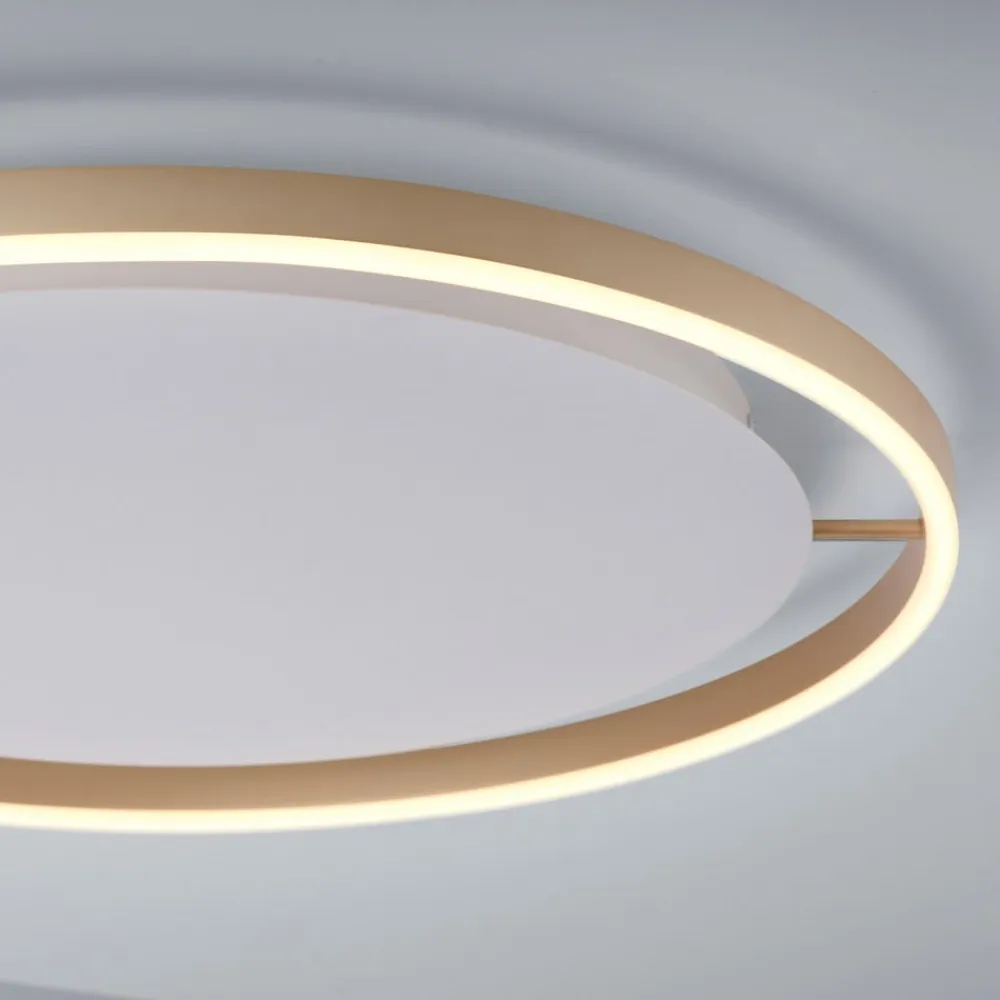 LED-loftlampe Ritus, Ø 58,5 cm, mat messing^JUST LIGHT. GmbH Hot