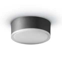 LED-loftslampe 1421 til udendørs brug, grafit Ø 20,5 cm^LCD Hot