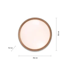 LED-loftslampe Emilia 3-trins dæmpbar sort^JUST LIGHT. GmbH Clearance