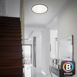 LED-loftslampe Slim smart sort dim CCT Ø 42 cm^Briloner New