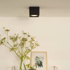 Lucide LED-loftspot Fedler kantet sort