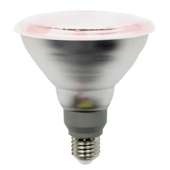 LIGHTME LED-plantepære E27 PAR38 12W 50° strålevinkel