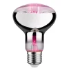 Paulmann LED-plantepære E27 R80 6,5W