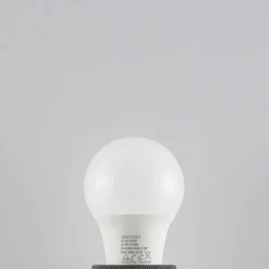 LED-pære E27 A60 8 W 3.000 K opal, sæt med 2 stk^Arcchio Online