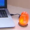 Wagner Life LED-saltlampe Compus med USB til computer&Laptop