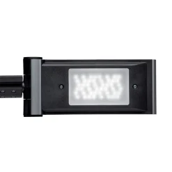 Maul LED-skrivebordslampe solaris, sølv, højde 64 cm