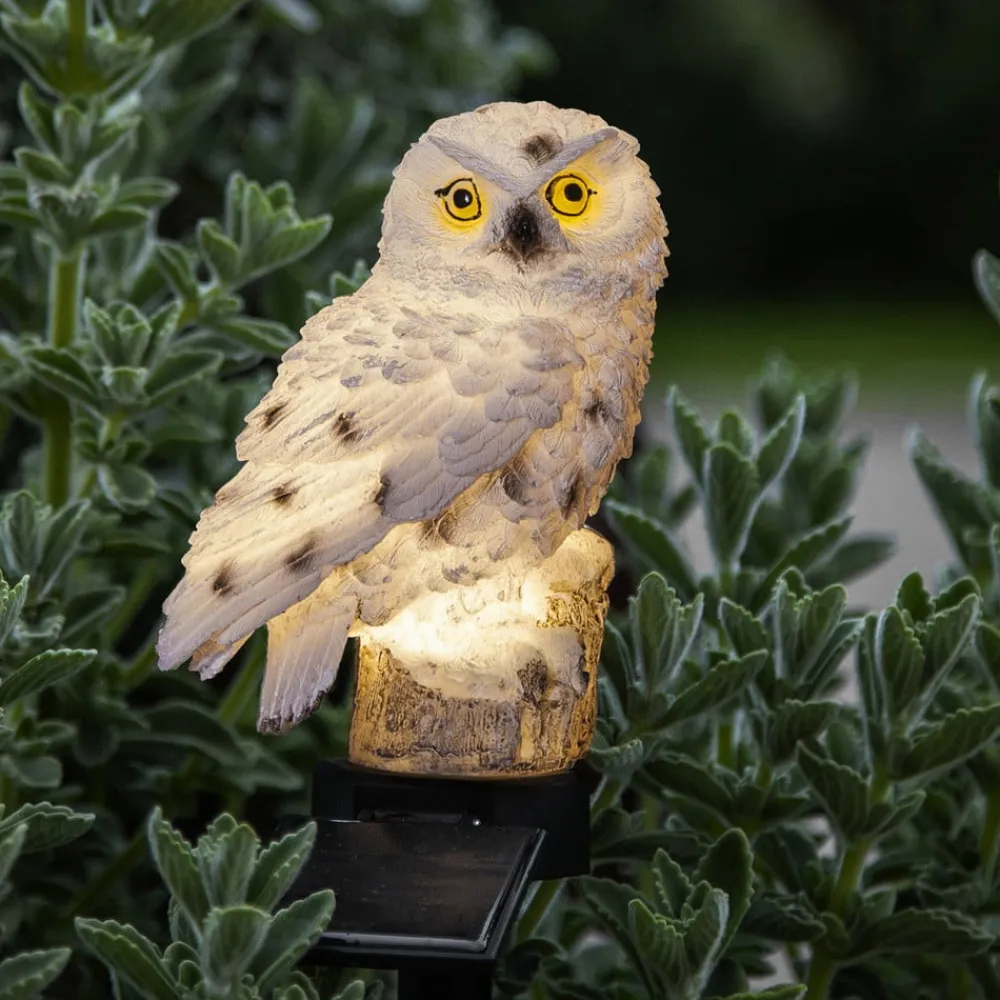 LED-solcellelampe Owl med jordspyd^STAR TRADING Online