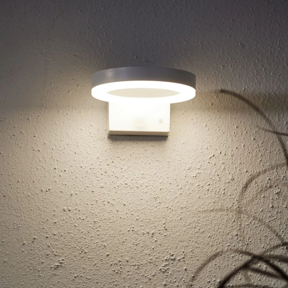 STAR TRADING Solcelle Lampe Med Sensor|Væglampe Med Sensor>LED-solcellelampe til vægmontering Vidi med bevægelsessensor