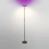 LEDVANCE SMART+ WiFi LED-gulvlampe up/down RGBW