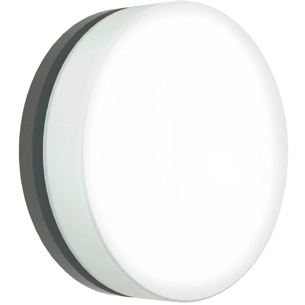 Albert Leuchten Væglamper>LED-væglampe 6309 antracit, IP65, Ø 31 cm