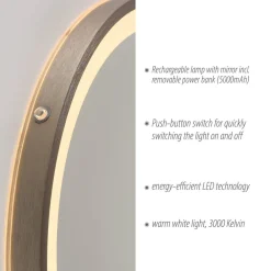 Paul Neuhaus LED-vægspegel VIDRO, bronze, Ø 46 cm, powerbank, afbryder