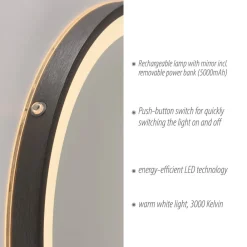 Paul Neuhaus LED-vægspejl VIDRO, grå, Ø 46 cm, powerbank, afbryder