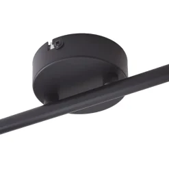 Arna loftlampe, sort, 2 lyskilder^Lindby New