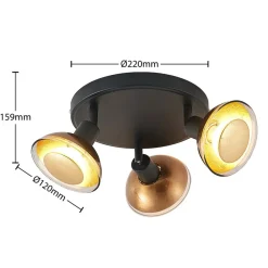 Erin loftspot, sort/guld, Ø 22 cm, glas^Lindby Online