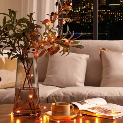 LED lyskæde Titciana, hjerte, valentinsdag, 320 cm^Lindby Hot