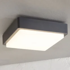Lindby Udendørs Loftlamper>LED udendørs loftlampe Nermin, 22 cm, IP65, kantet