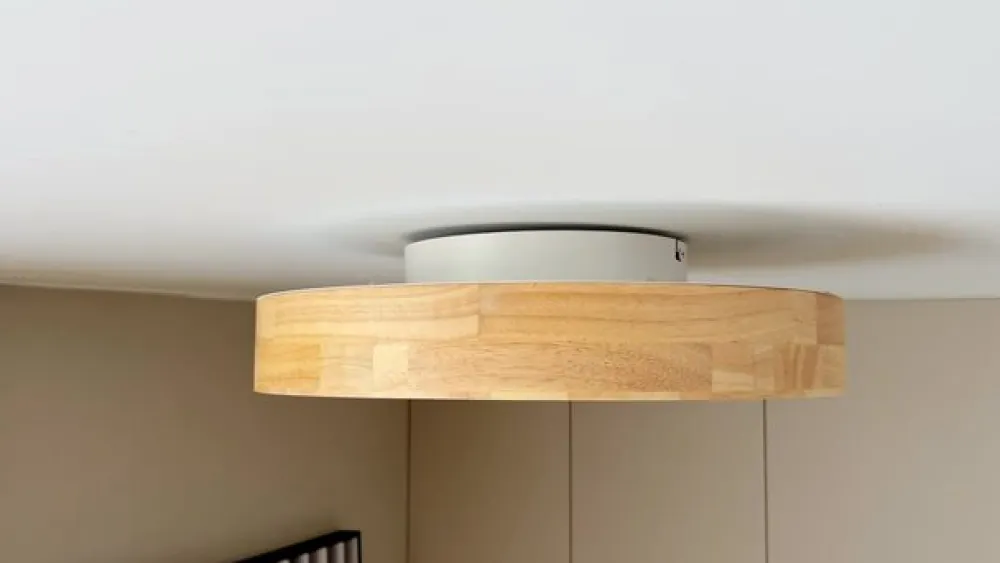 LED-loftlampe Milada, eg, CCT, fjernbetjening^Lindby Discount