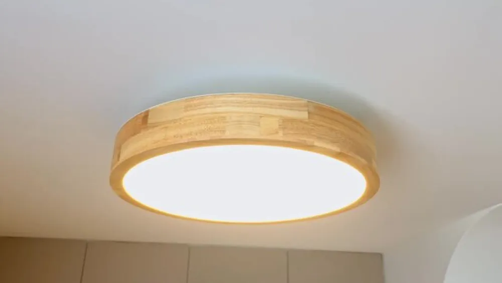 LED-loftlampe Milada, eg, CCT, fjernbetjening^Lindby Discount