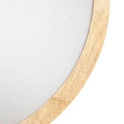 LED-loftlampe Milada, eg, CCT, fjernbetjening^Lindby Discount