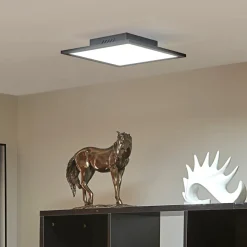 LED-panel Lamin, sort, 30 cm, CCT, dæmpbar, fjernbetjening^Lindby Discount