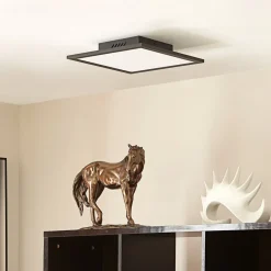 LED-panel Lamin, sort, 30 cm, CCT, dæmpbar, fjernbetjening^Lindby Discount