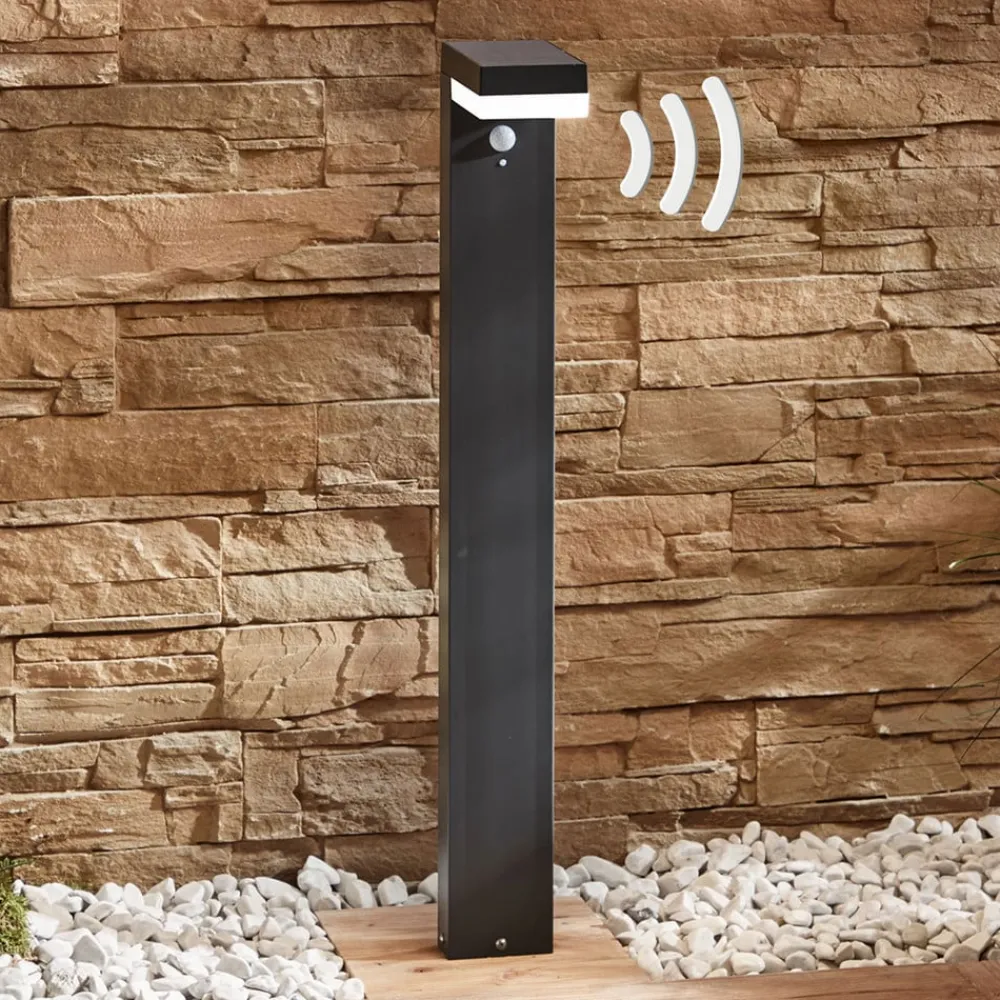 LED-pullert Chioma, antracit, sensor^Lindby Outlet