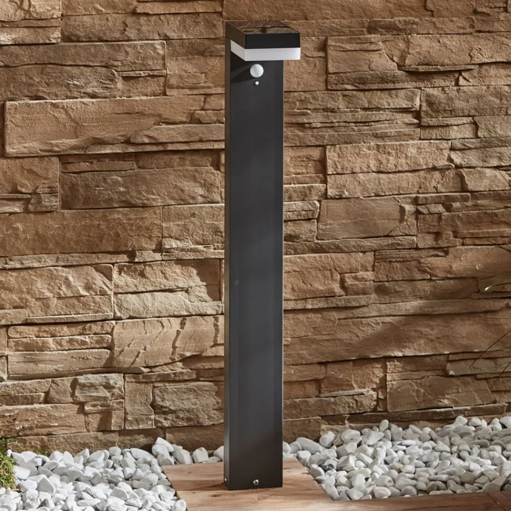 LED-pullert Chioma, antracit, sensor^Lindby Outlet