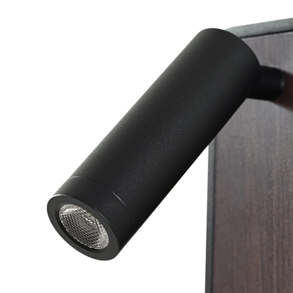 Lindby Væglamper|Væglamper>LED-væglampe Tallis, sort, USB-C, bevægelig