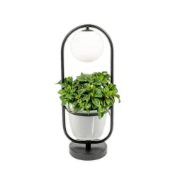 Orna bordlampe, 1 lyskilde, blomsterampel^Lindby Best