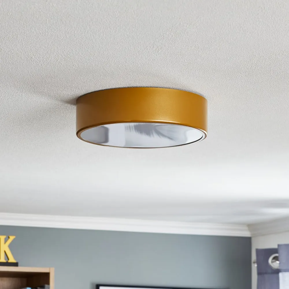 Loftlampe Cleo 300, IP54, Ø 30 cm guld^TEMAR LIGHTING Discount