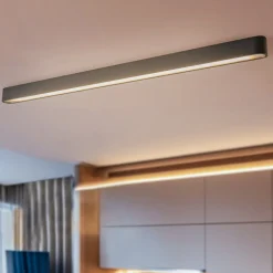 Nowodvorski Lighting Loftlampe Soft, 125 x 6 cm, grafit, aluminium, G13