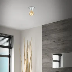 Loftlampe Tepel til badeværelset IP44 E27 krom mat^Briloner Clearance