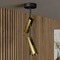 SIGMA Spotlights><noscript><img width=