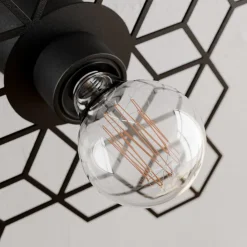 Alexaru væglampe, bikage, sort^Lucande Best