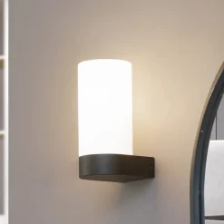 Lucande Basolo væglampe til badeværelset, sort, højde 17,2 cm, glas