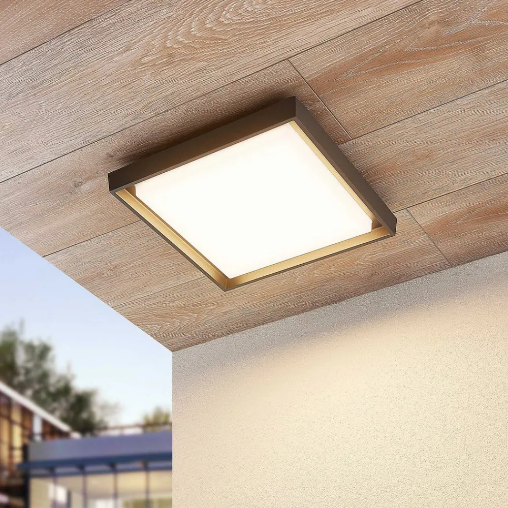 LED udendørs loftlampe Birta, mørkegrå, IP54, 34 cm^Lucande Best