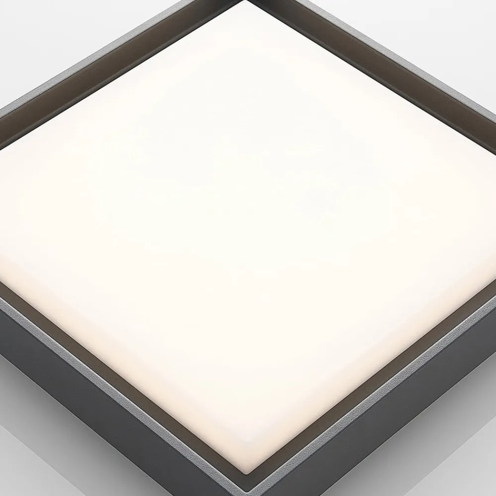 LED udendørs loftlampe Birta, mørkegrå, IP54, 34 cm^Lucande Best