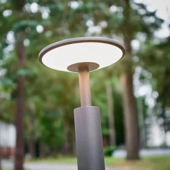 Lucande LED-gadelampe Fenia, 100 cm, antracit, IP65