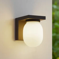 Lucande udendørs væglampe Ovaali, glas, mørkegrå, IP65