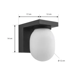 Lucande udendørs væglampe Ovaali, glas, mørkegrå, IP65