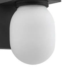 Lucande udendørs væglampe Ovaali, glas, mørkegrå, IP65