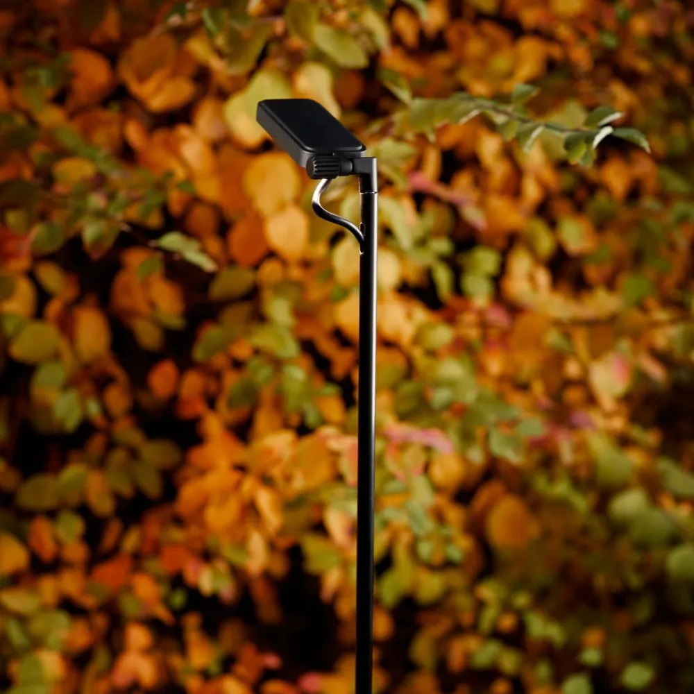 LED-vejlampe Flia, 180 cm høj, sort, plast^Luceplan